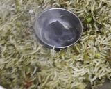 ગ્રીન બિરયાની(Green Biryani Recipe in Gujarati) રેસીપી સ્ટેપ6ફોટો
