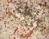A picture of step 1 of Layers masala papdi.