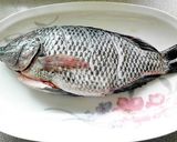 紅燒海吳郭魚的食譜步驟2照片