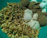 Foto del paso 1 de la receta: PAN De Granola con Harina de Linaza...!