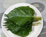 รูปขั้นตอนการทำที่ 1 ของ น้ำชาใบหม่อนสด