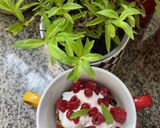 Une image de l'étape 10 de 🥛🫘Granola🌾🥣 Healthy Food.