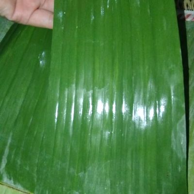 Langkah 1