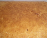 Foto del paso 12 de la receta: Coca dulce Carmensin
