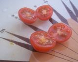 Foto del paso 1 de la receta: Rueda de tomates cherry, anchoas y queso de servilleta