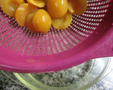 Foto del paso 7 de la receta: Tarta diet de yogurt de coco 