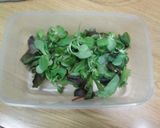 Foto del paso 1 de la receta: Ensalada con ralladura de cacahuete para tupper