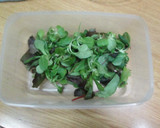 Foto del paso 1 de la receta: Ensalada con ralladura de cacahuete para tupper
