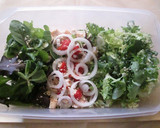 Foto del paso 8 de la receta: Ensalada con ralladura de cacahuete para tupper
