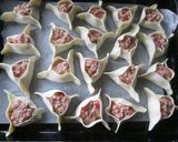 Foto del paso 5 de la receta: Empanadas árabes especiales