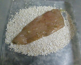 Foto del paso 2 de la receta: Filetes de pollo rebozados con salvado de avena