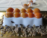 Foto del paso 10 de la receta: Tarta diet de yogurt de coco 