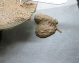Foto del paso 4 de la receta: Galletas dietéticas para base de tartas