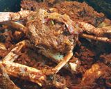 A picture of step 5 of Nandu Dum Biryani.