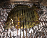 Foto del paso 3 de la receta: Rodaballo a la parrilla