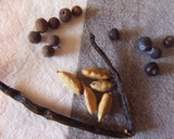 Foto del paso 2 de la receta: Mirabeles en almíbar de bayas 