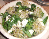 Foto del paso 3 de la receta: Ensalada fresca