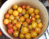 Foto del paso 3 de la receta: Mirabeles en almíbar de bayas 
