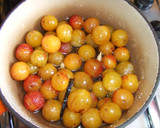 Foto del paso 3 de la receta: Mirabeles en almíbar de bayas 