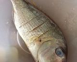 Foto langkah ke 1 dari resep Ikan Bakar, Yummy.