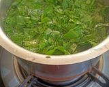 પાલક પનીર (Palak Paneer Recipe In Gujarati) રેસીપી સ્ટેપ1ફોટો