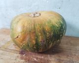 Foto langkah ke 1 dari resep Pumkin Ball Cheese Felling.
