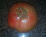 Foto del paso 1 de la receta: Tomatito de la huerta con anchoas y huevo duro
