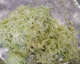 દૂધી નાં મૂઠિયાં (Dudhi Muthiya Recipe in Gujarati) રેસીપી સ્ટેપ1ફોટો