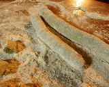 Foto del paso 5 de la receta: Ñoquis de ricotta light y espinaca