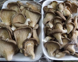 Foto del paso 1 de la receta: Callos vegetarianos completos