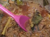 Rendang Sapi Pressure Cooker
