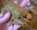 عکس مرحله 15 از دستور دلمه برگ مو +پیچیدن