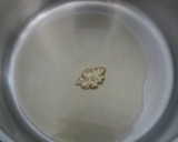 Foto del paso 1 de la receta: Pulguita vegetal