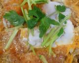 A picture of step 10 of Chicken Katsu Donburi with Spring Onion.