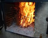 Foto del paso 1 de la receta: Chuletitas al sarmiento