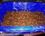 Foto del paso 1 de la receta: Turrón de avena