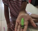 Foto langkah ke 2 dari resep Caterpillar cookies.