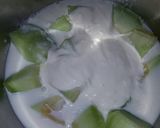 Foto del paso 6 de la receta: Melonas (helado de melón)