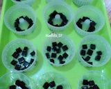 Foto langkah ke 3 dari resep Puding Capucino Cincau.