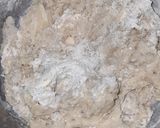 Foto del paso 3 de la receta: Pancitos de Anís