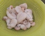 Foto del paso 5 de la receta: Ensalada de huevos de choco y gambas con Mini crujientes de Atún
