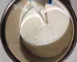 Foto langkah ke 2 dari resep Greek Yogurt Homemade (Serving With Stevia, Sunflower Seeds & Pumpkin Seeds).