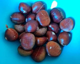 Foto del paso 1 de la receta: Crema de castañas asadas y glaseadas con frutos secos