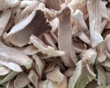 Foto del paso 3 de la receta: Pasta con Setas y Champiñones🍄‍🟫🍄‍🟫🍄‍🟫