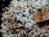 Risotto langostinos y champiñones