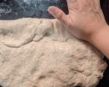 Foto del paso 4 de la receta: 🍞 Pan integral en batidora 🥖