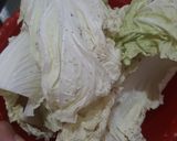Foto langkah ke 2 dari resep Dimsum Kulit Sawi Putih.