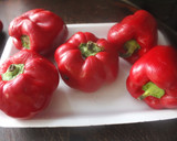 Foto del paso 2 de la receta: Gazpacho en licuadora