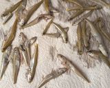 Foto del paso 1 de la receta: Pejerrey frito en Freidora de aire (pescaditos)
