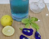 A picture of step 8 of Butterfly pea flower Drink.